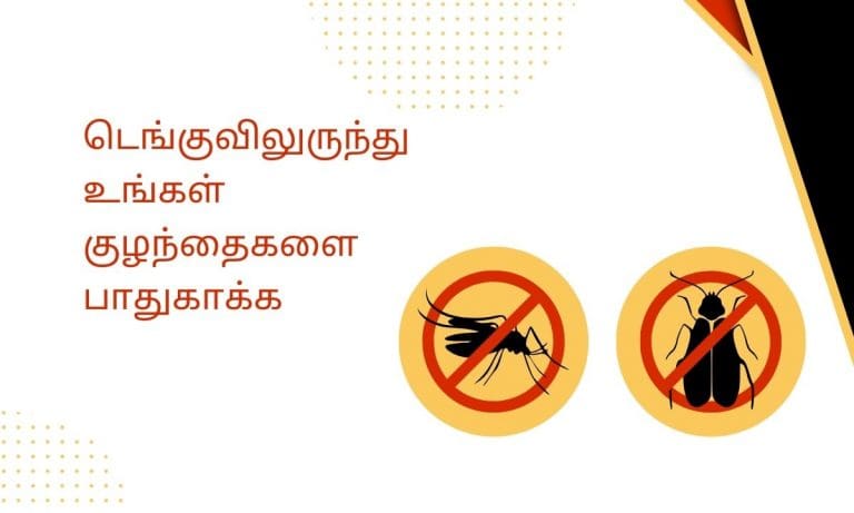 ஜன்னல்களுக்கு சிறந்த கொசு வலை